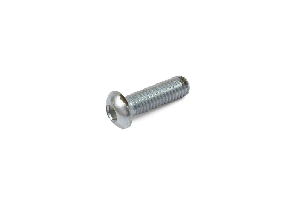 M6 X 20 DOME HEAD SCREW STAINLESS STEEL